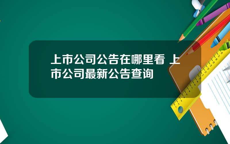 上市公司公告在哪里看 上市公司最新公告查询